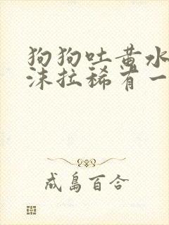 狗狗吐黄水带泡沫拉稀有一点带血