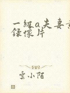 一级a夫妻黄色录像片