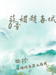 苏媚赵春城第30章