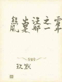 熊出没之雪岭熊风是哪一年上映的