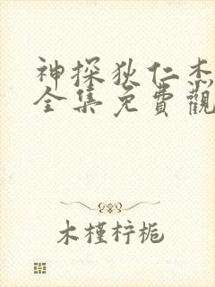 神探狄仁杰二部全集免费观看高清