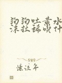 狗狗吐黄水带泡沫拉稀吃什么药