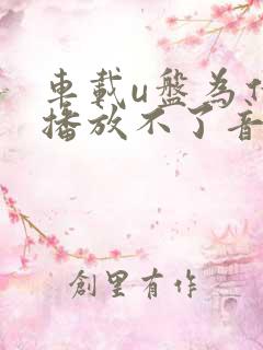 车载u盘为什么播放不了音乐