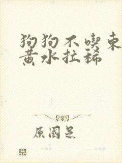 狗狗不吃东西吐黄水拉稀