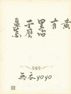 鼻子里有黄鼻涕怎么治