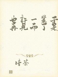 也许一辈子不会再见面了是什么歌