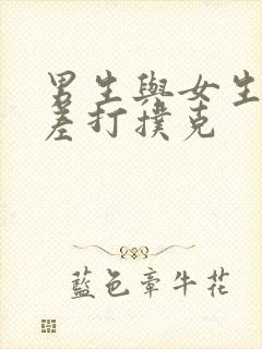 男生与女生差差差打扑克