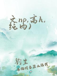 文np,高h,纯肉)