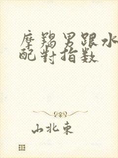 摩羯男跟水瓶女配对指数