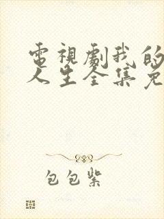 电视剧我的灿烂人生全集免费观看