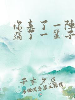 你来了一阵子我痛了一辈子什么歌