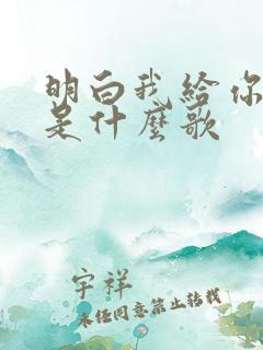 明白我给你的爱是什么歌