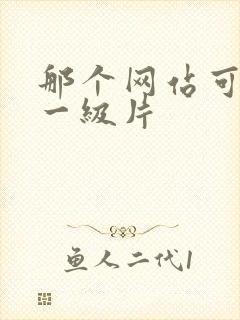 那个网站可以看一级片