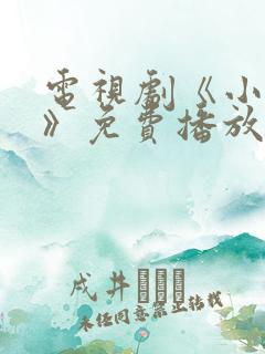 电视剧《小丈夫》免费播放