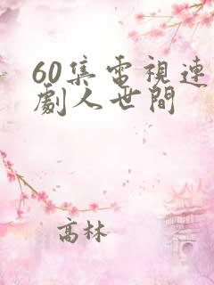 60集电视连续剧人世间