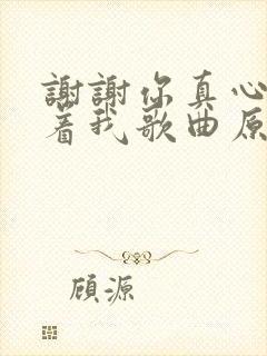 谢谢你真心的陪着我歌曲原唱