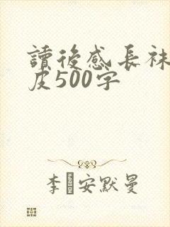 读后感长袜子皮皮500字