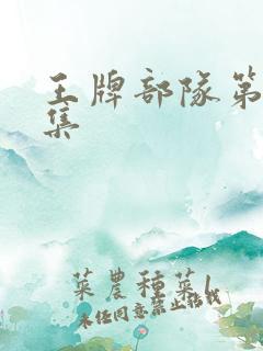 王牌部队第39集