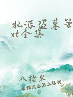 北派盗墓笔记txt全集