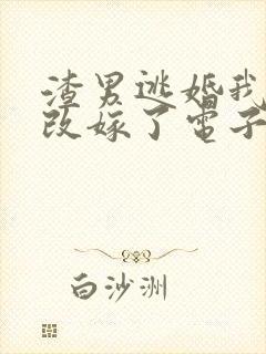 渣男逃婚我当场改嫁了电子书