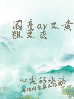 国产av又黄又粗又爽