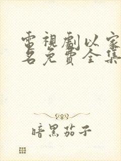 电视剧以家人之名免费全集在线观看