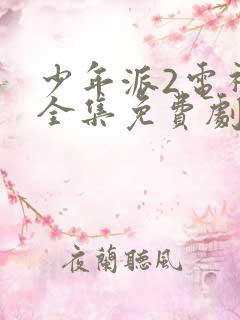 少年派2电视剧全集免费剧情介绍