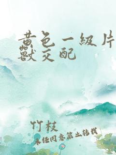 黄色一级片人与兽交配