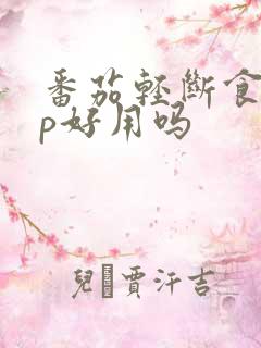 番茄轻断食app好用吗