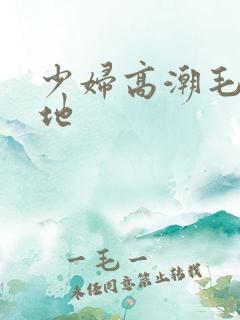 少妇高潮毛片基地