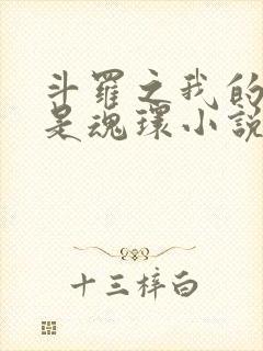 斗罗之我的武魂是魂环小说