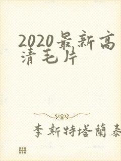 2020最新高清毛片