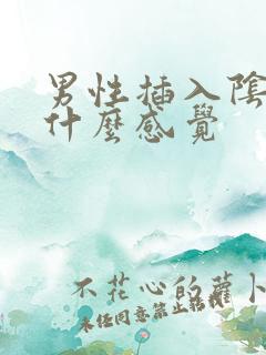 男性插入阴道是什么感觉