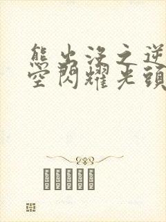 熊出没之逆转时空闪耀光头强