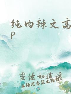 纯肉辣文高hnp
