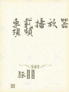 车载播放器播放视频