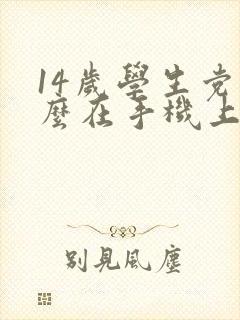 14岁学生党怎么在手机上赚钱