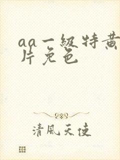aa一级特黄大片免色