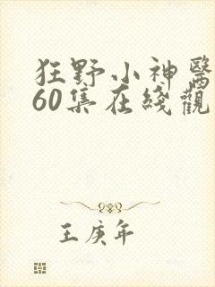 狂野小神医短剧60集在线观看