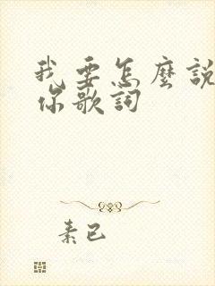 我要怎么说不爱你歌词