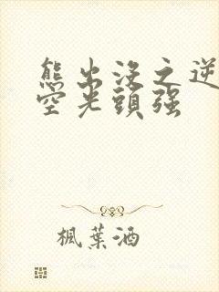 熊出没之逆转时空光头强