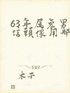 63年属兔男微信头像用哪个好