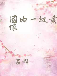 国内一级黄色录像