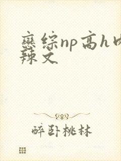 恋综np高h肉辣文