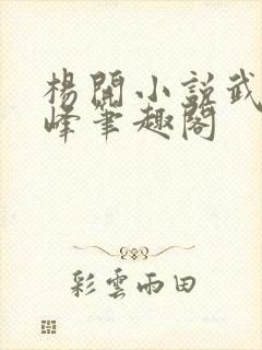 杨开小说武炼巅峰笔趣阁