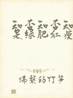 知否知否知否应是绿肥红瘦什么时候上映