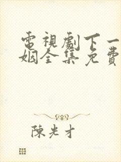 电视剧下一站婚姻全集免费播放