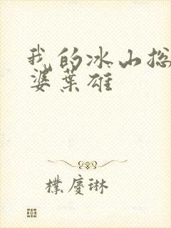 我的冰山总裁老婆叶雄