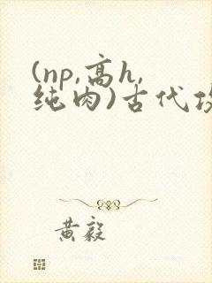 (np,高h,纯肉)古代攻受