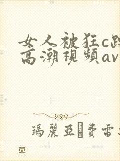 女人被狂c躁到高潮视频av